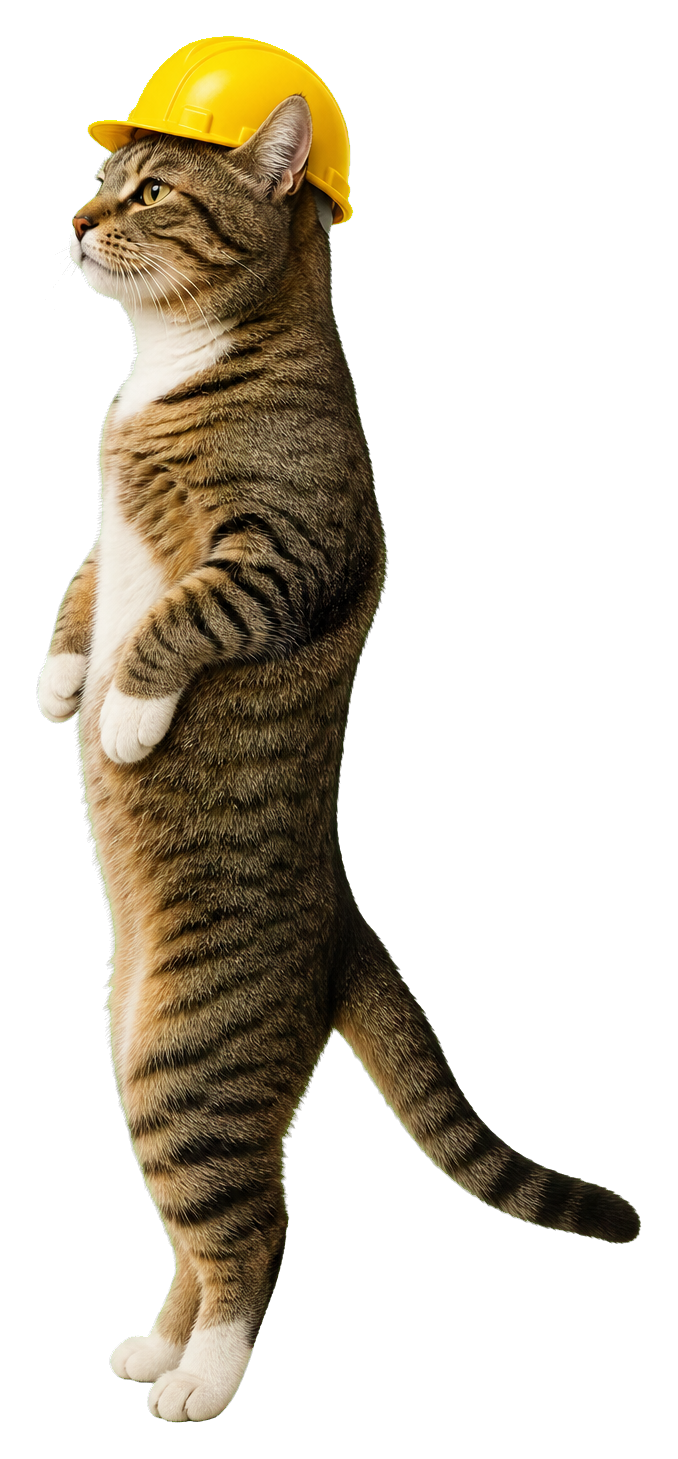 Annie the coding cat in a construction hat
